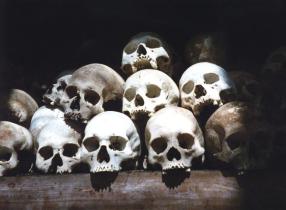 bleached-skulls